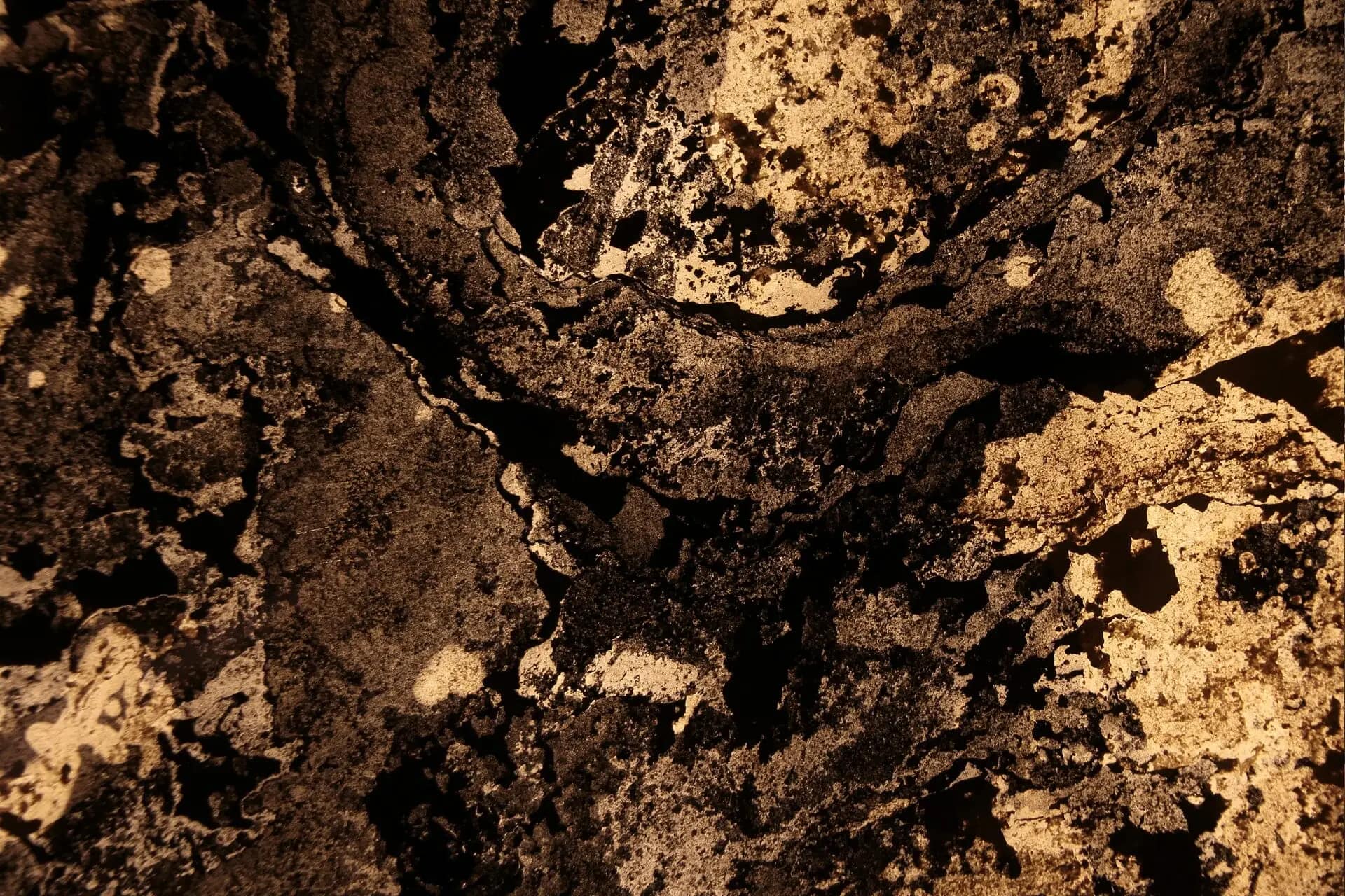 当社面接ご予約フォーム|クラブ求人へのご応募 - 求人エージェントLUCE