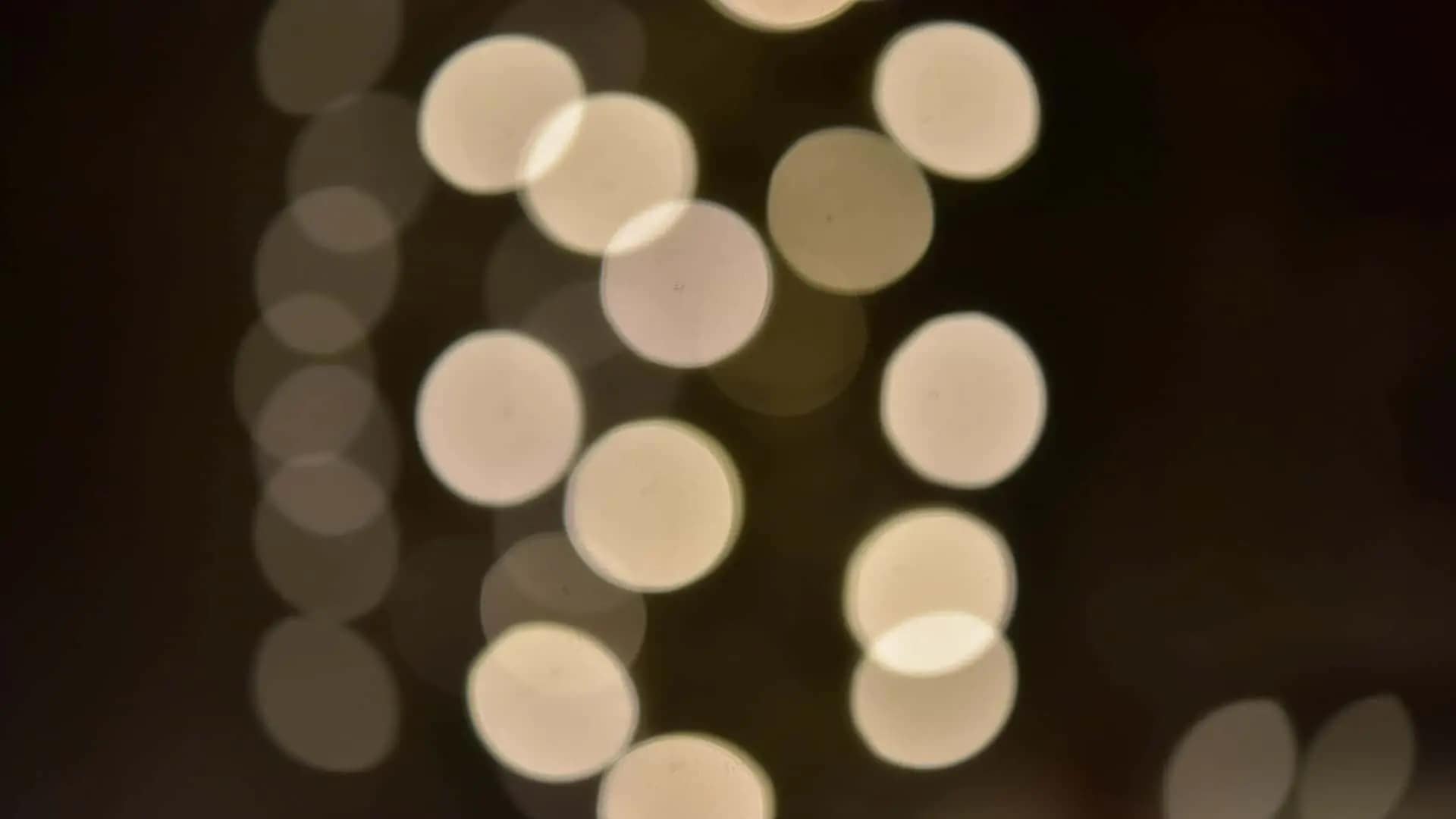 彼女が出会ったある人物がきっかけに。|エージェントLUCE